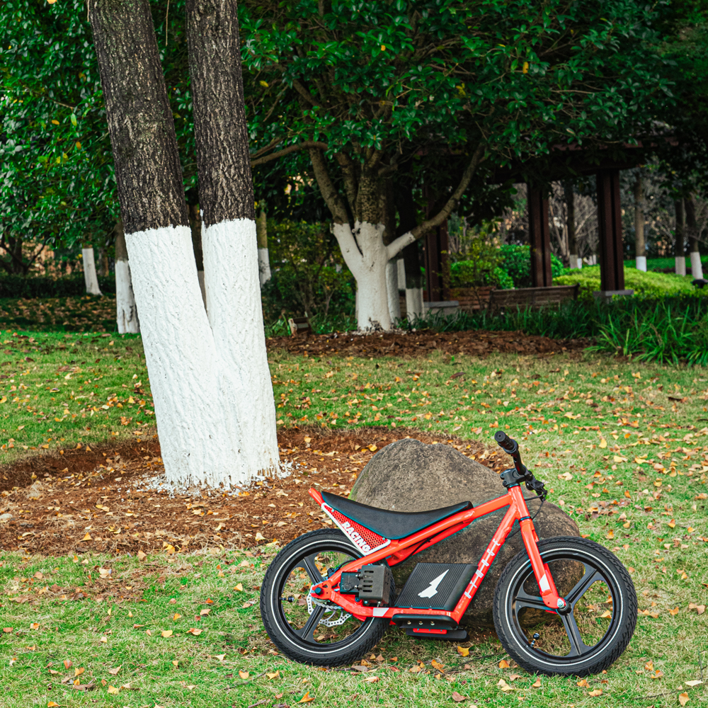 Fabrika Toptan Fiyatı Çocuklar - Mountain Biking For Kids incelemesi ve fiyatı
